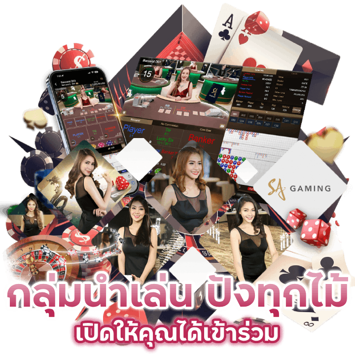 กลุ่มนำเล่น-ปังทุกไม้